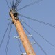 Technical Surveillance Countermeasures Can Start Outside
