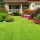 Chances are Hidden Assets Aren’t Buried in the Backyard